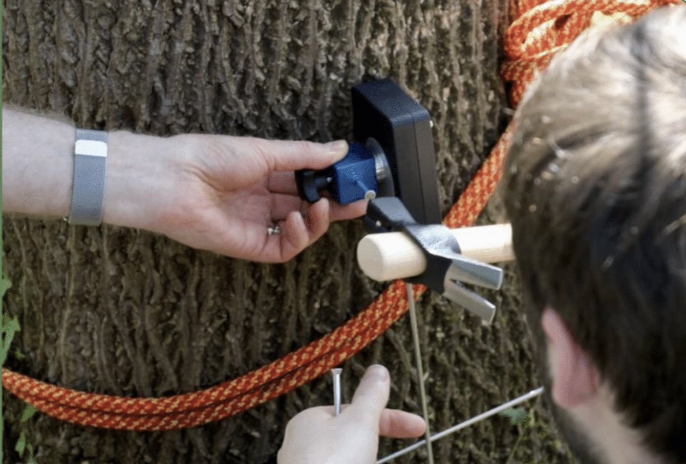 Zugversuch - Schulung mit Frank Rinn - Grüner Zweig GmbH