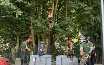 Erfolgreicher SKT-A Kurs 🌳💪🏼